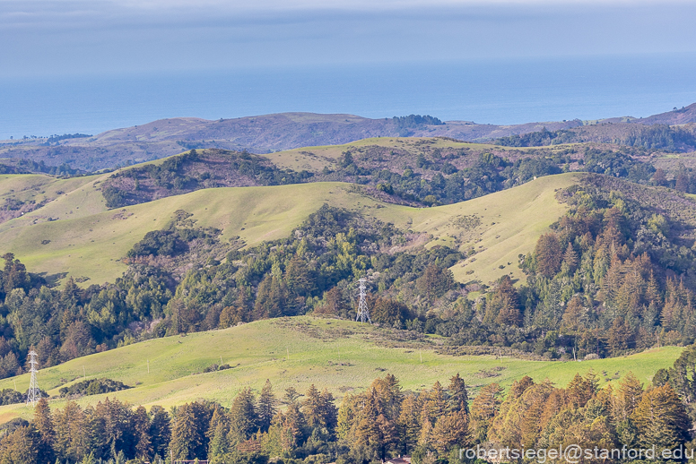 williams sisters ranch